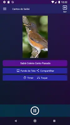 Cantos de Sabiás android App screenshot 1