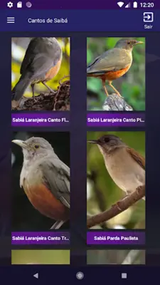 Cantos de Sabiás android App screenshot 2